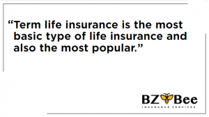 Graphic with quote that reads "Term life insurance is the most basic type of life insurance and also the most popular."